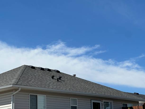 Best Chimney Flashing Repair  in Elmwood Place, OH