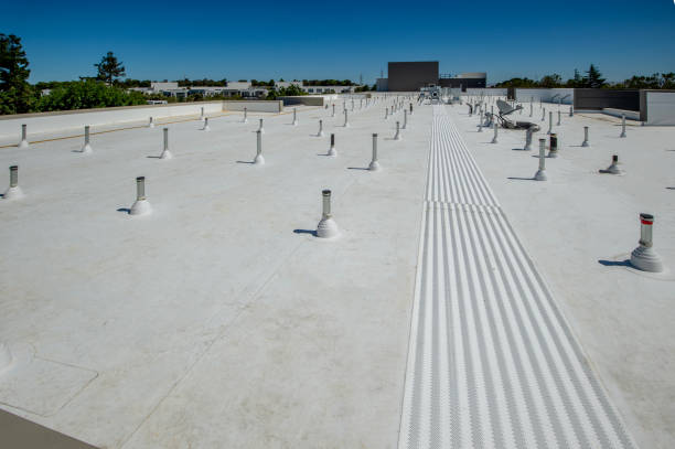 Best Roof Coating and Sealing  in Elmwood Place, OH